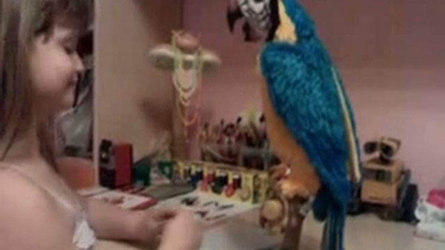 C:\Documents and Settings\Владелец\Рабочий стол\Кеша -хондовод.mp4 смотреть онлайн