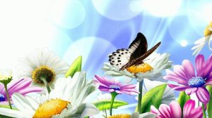 Футаж. Цветочный фон 16