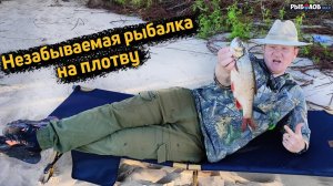 Волга плотва выпрыгивает на берег. Фидерная рыбалка на плотву. Что лучше донка или фидер. Прикормка