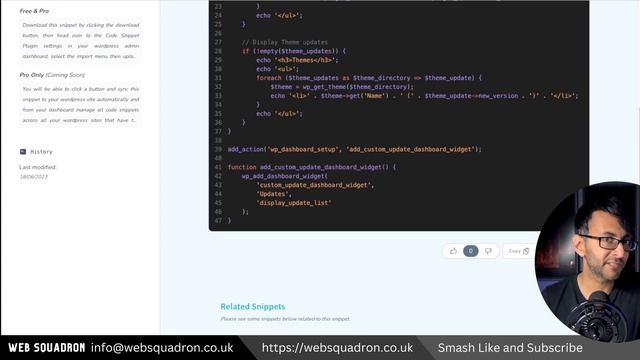 Display Wordpress Update Details - Code Snippets смотреть онлайн