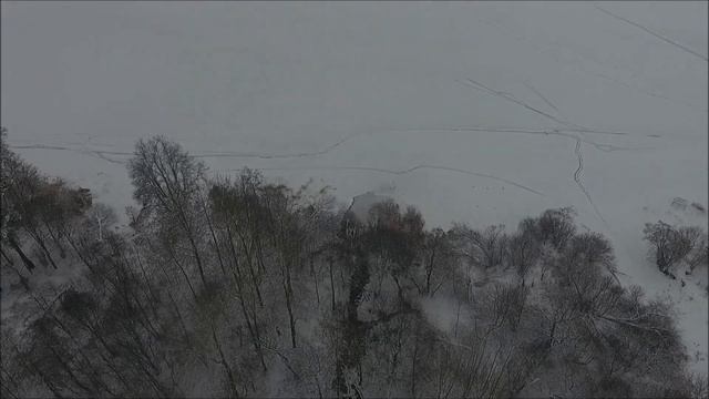 Слив нечистот в водоохранной зоне озера Сенеж смотреть онлайн