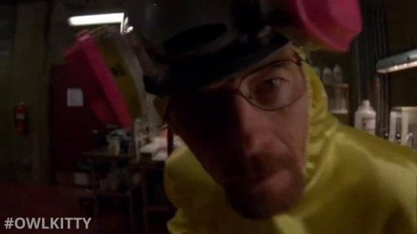 If Walter White had a Cat