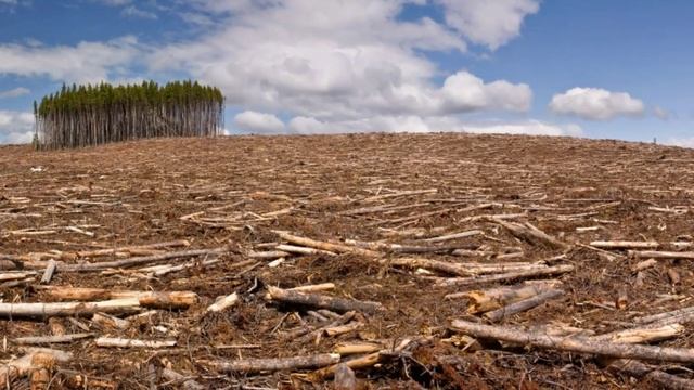 Ушакова Т.Ю. "Задумайтесь люди." Стихи смотреть онлайн
