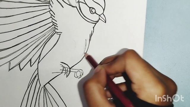 BEAUTIFUL BIRD SKETCH//PENCIL DRAWING//BIRD DRAWING//#drawing #sketching #bird #trending #viralvide смотреть онлайн