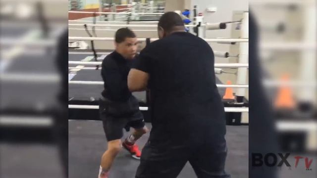 GERVONTA 'TANK' DAVIS | KNOCKOUTS AND TRAINING HIGHLIGHTS смотреть онлайн