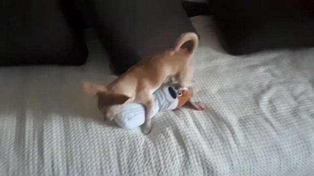 Кто не спрятался я не виновата смотреть онлайн