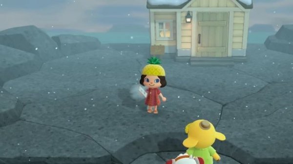 Designing Extremely Cursed Homes In Happy Home Paradise DLC