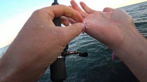 Ловим Саргана на пилькер.Цвет имеет значение!