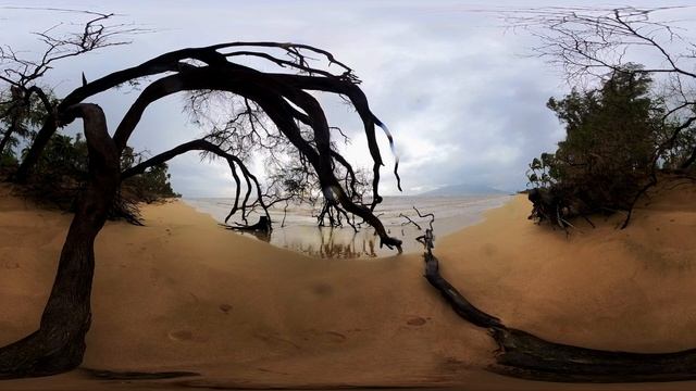 STORM | VR 360° Meta Quest Scene смотреть онлайн