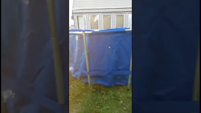 Видео-отзыв о бассейне САПФИР от 14 июля 2020 года (6)