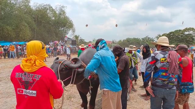 KARERA SA SANTA MONICA TARLAC APRIL 13 2022 FULL VIDEO BABY BOY SUPER SWERTE VALIENTE ANG SAKALAM смотреть онлайн