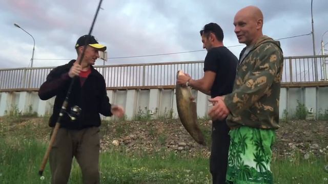 Рыбалка Ярославль сомик смотреть онлайн