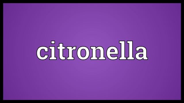 Citronella Meaning смотреть онлайн