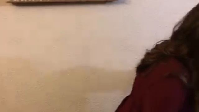 Mannequin Challenge #novaleispana#nochebuena#2016#navidadenfamilia#tontunasvarias#