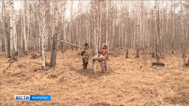 В Белозерском районе разводят пятнистых оленей смотреть онлайн