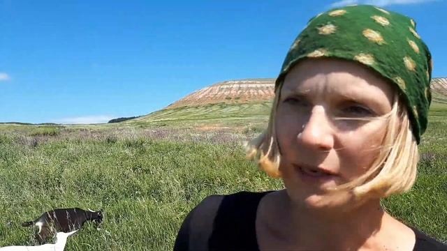 Утро на козьем хозяйстве! И про лейкоз у коров. смотреть онлайн