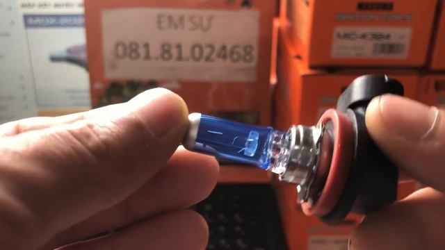H11/12V/55W Bóng Đèn Pha Halogen Trắng Xanh ( 4200K )Thương Hiệu MASUMA (Nhật Bản ) L120