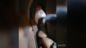Чистка банной печи Беларусь.
