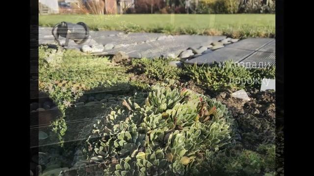 Ландшафтный дизайн на участке д.Пеники 1 часть смотреть онлайн