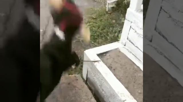 Лопата МЛШЗ десантная малая смотреть онлайн