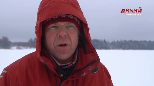 На блесну в начале зимы. Окунь. Ловля хищных рыб. смотреть онлайн