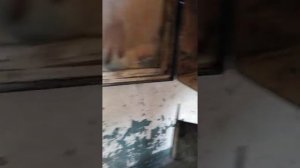 всеядная печка-буржуйка на отработке и дровах