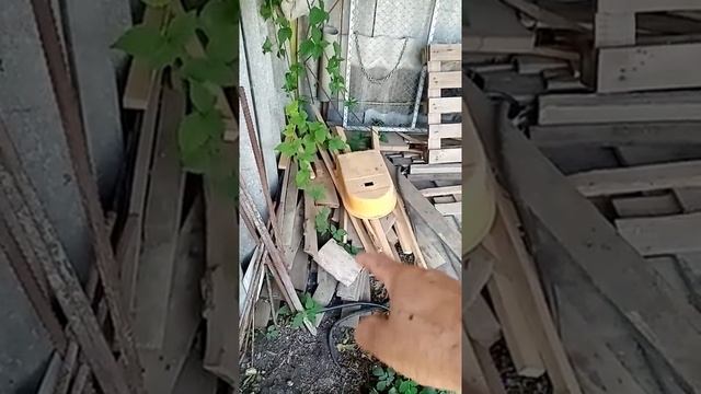 Как выращивать раков. Выращивание раков в домашних условиях. смотреть онлайн