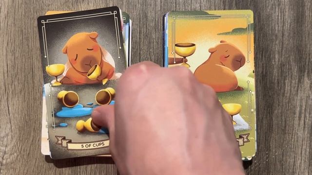 CapyBarot Tarot - New Release! смотреть онлайн