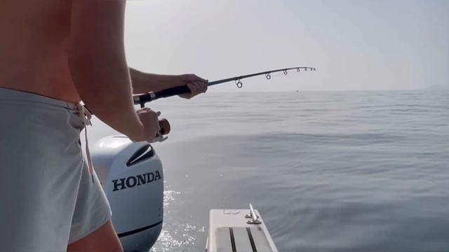 Рыбалка в ОАЭ / Fishing in UAE смотреть онлайн