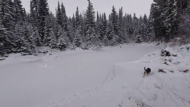 19.11.22. Павел Ледостав. Какой страшный ритуал делали люди на Руси, чтобы река покрылась льдом? смотреть онлайн
