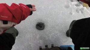 Безмотылка на Плотву. Ловля на Безмотыльные Мормышки и Догонялку Плотвы и Окуня