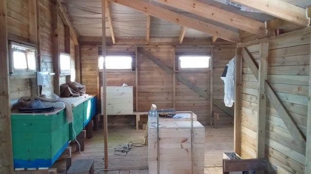 Среднерусские пчёлы на втором этаже дачи. смотреть онлайн