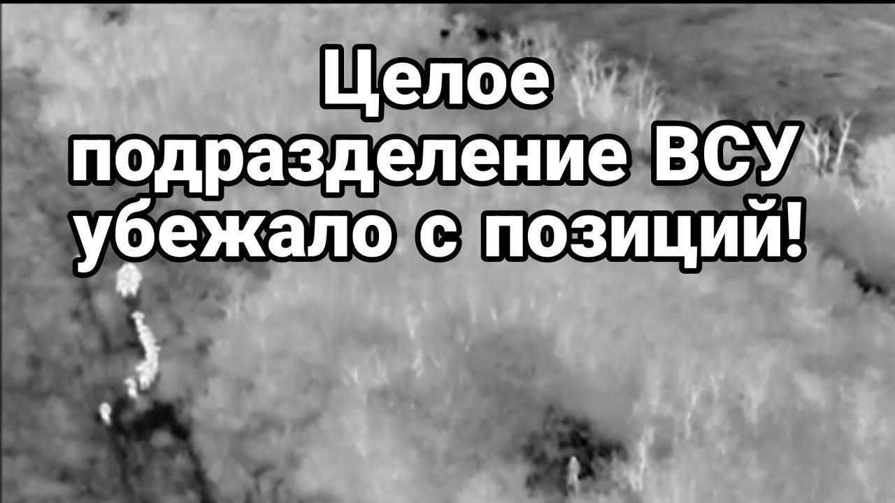 ЦЕЛ0Е П0ДРАЗДЕЛЕНИЕ ВСУ СБЕЖАЛ0!