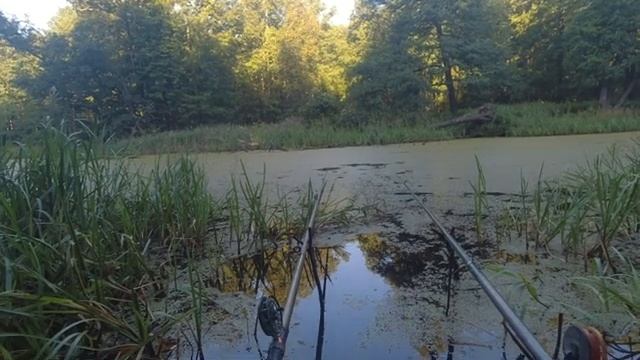 На рыбалку и за грибами смотреть онлайн