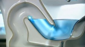 Как устроен унитаз