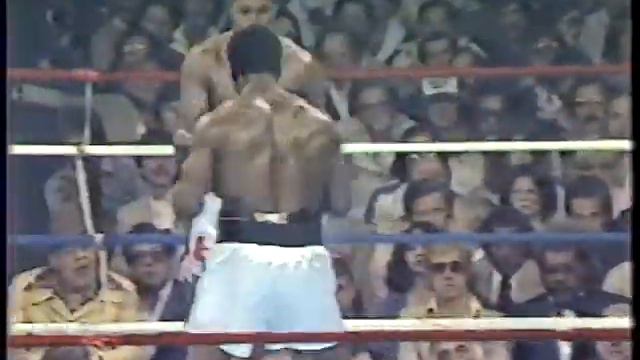 LARRY HOLMES V TREVOR BERBICK. APRIL 11th 1981