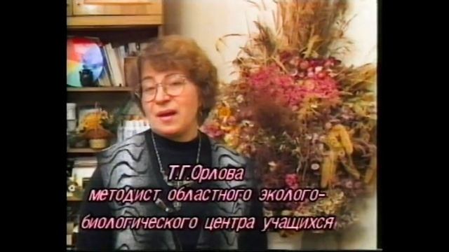 Выпуск 5 смотреть онлайн