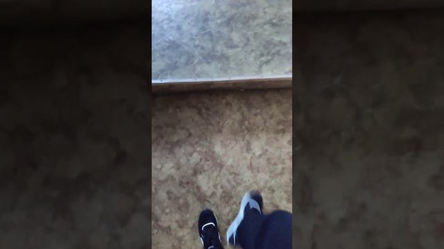 когда я хочу прогулять урок и мне нужно по тихому сленять смотреть онлайн