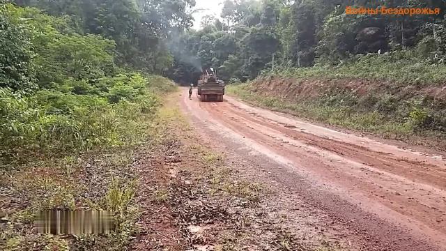 Прицепы для лесовозов GINAF Mining Nederland и DAF CF85 для погрузки Древесины и Колес смотреть онлайн