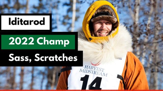 The Champion, Brett Sass, Scratches | Mushing Radio смотреть онлайн