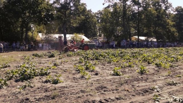 Historischer Feldtag Nordhorn 2022 | Nordhorn, Germany смотреть онлайн
