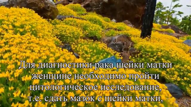Рак шейки матки кто в зоне риска — Статья смотреть онлайн