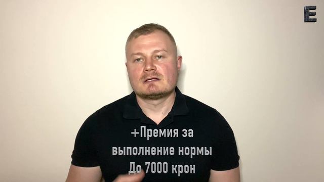 Работа в Чехии по польской визе смотреть онлайн