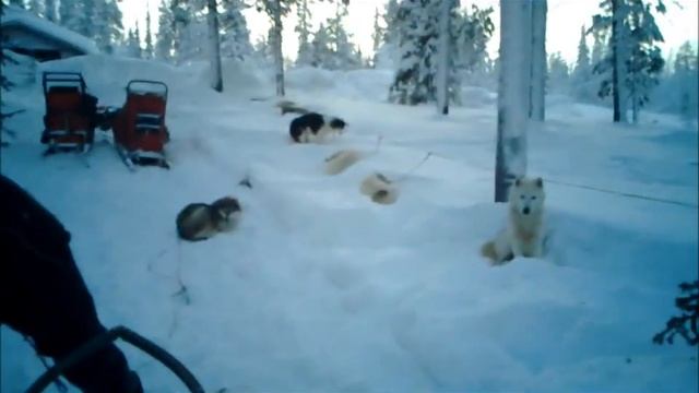 Lapland 2 Snowmobile смотреть онлайн