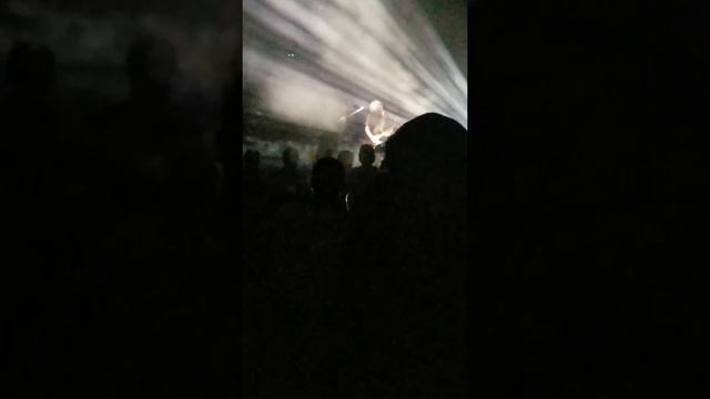 Logger Cody Meets Pink Floyd смотреть онлайн