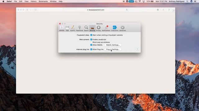 Enable your Adobe Flash Player on Safari смотреть онлайн