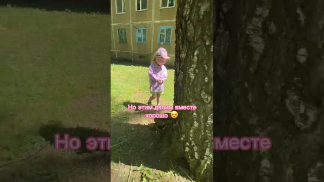 Кот выгуливает ребенка 😁 #friends#funnyvideos#милоевидео#абиссинский_котёнок# #petscats #kitty