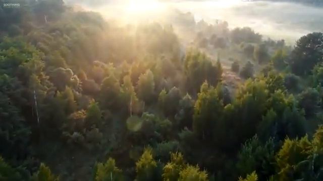 10 Годин Розслаблювальної Музики   Спокійна Музика для Фортепіано та Гітари, Музика для Сну