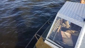 Прогресс 4 лучшая советская мотолодка