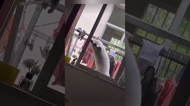 Когда с утра возвращаюсь домой...???bayoun.ru смотреть онлайн